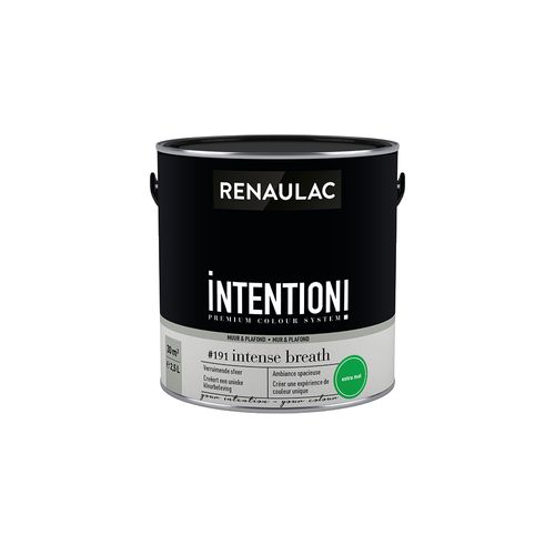 Renaulac Muur- En Plafondverf Intention Intense Extra Mat 2,5l